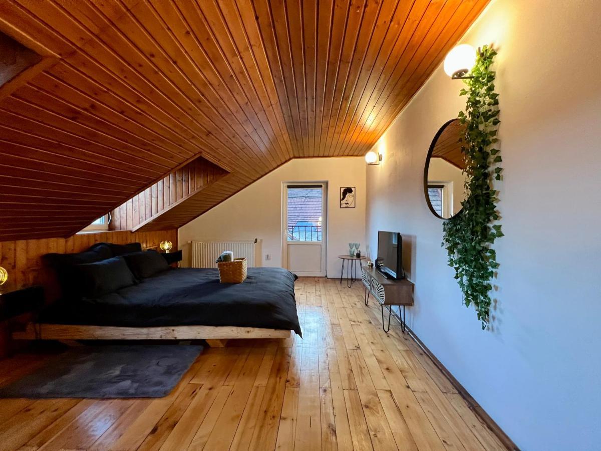 Nacada Studio By Hyco Apartment Sighişoara Exterior foto
