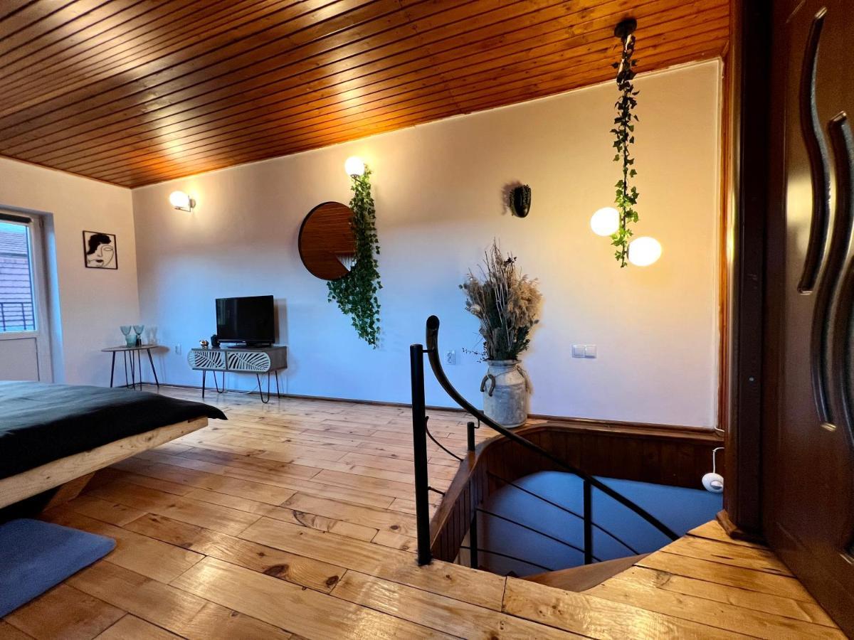 Nacada Studio By Hyco Apartment Sighişoara Exterior foto