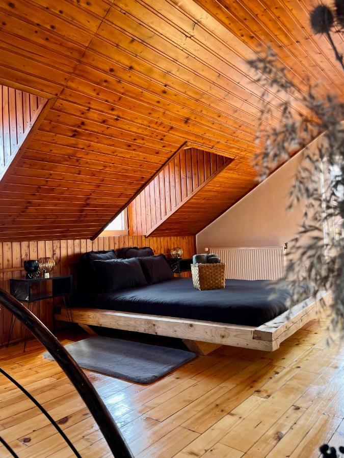 Nacada Studio By Hyco Apartment Sighişoara Exterior foto